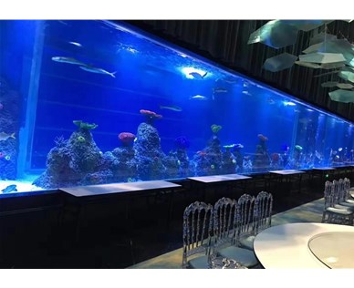 海底造景如何设计水循环系统？