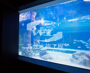 海南大型亚克力...