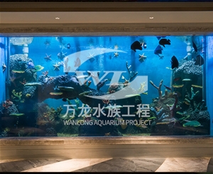 海南海底景观设计