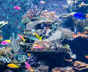 海南海底景观设计