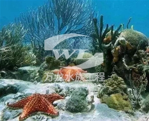 海南海底景观设计