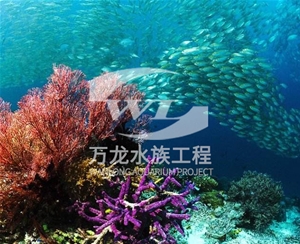 海南海底景观设计