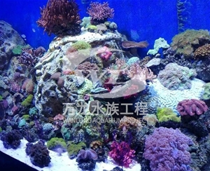 海南海底景观设计
